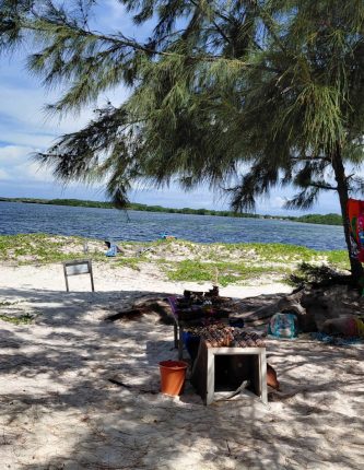 whatsapp image 2026 01 13 at 15.17.05