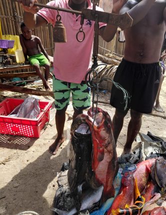 whatsapp image 2026 02 03 at 08.25.29